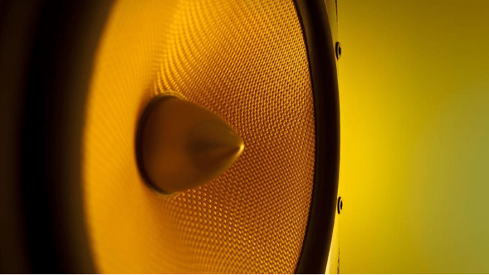 স্পিকার কেনার আগে কী কী জানা আবশ্যক