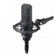 Audio Technica AT4050 Audio Technica AT4050