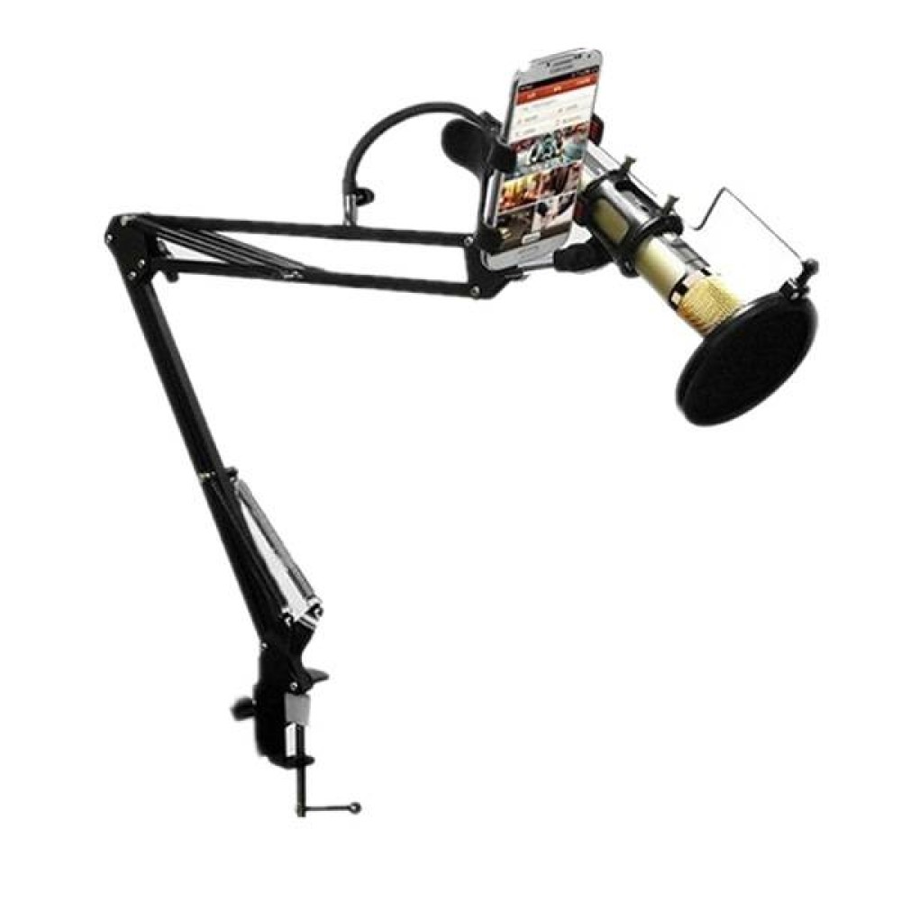 Remax CK100 Mobile Recording Studio Microphone