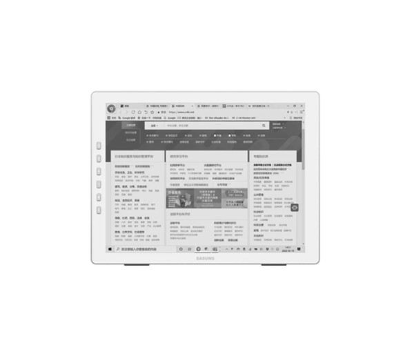 DASUNG 13.3