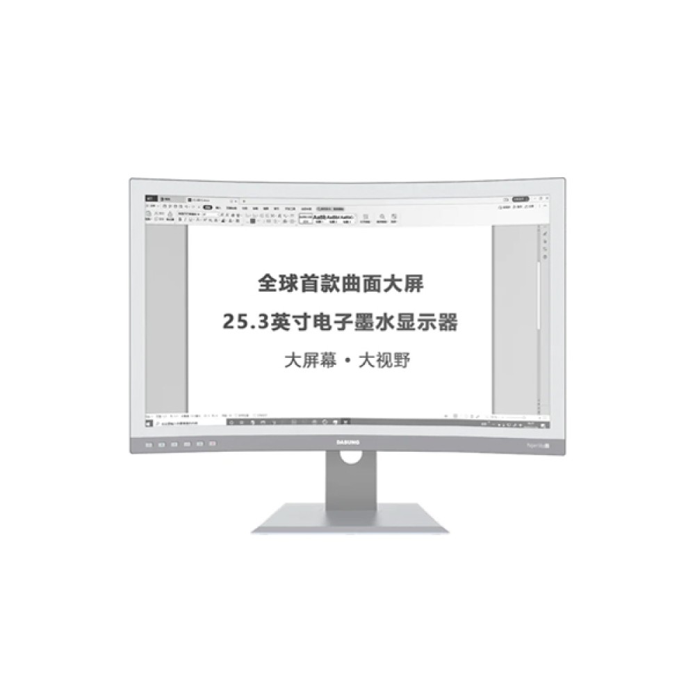 DASUNG 25.3 DASUNG 25.3