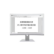 DASUNG 25.3