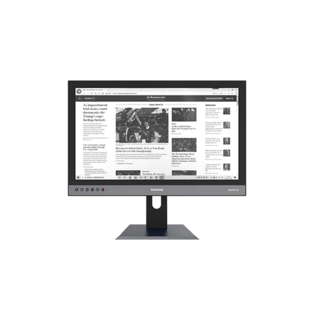 DASUNG 25.3