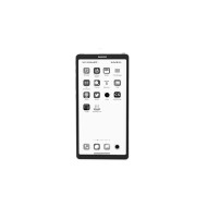 DASUNG 6.7