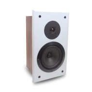 Custom Installation Speaker