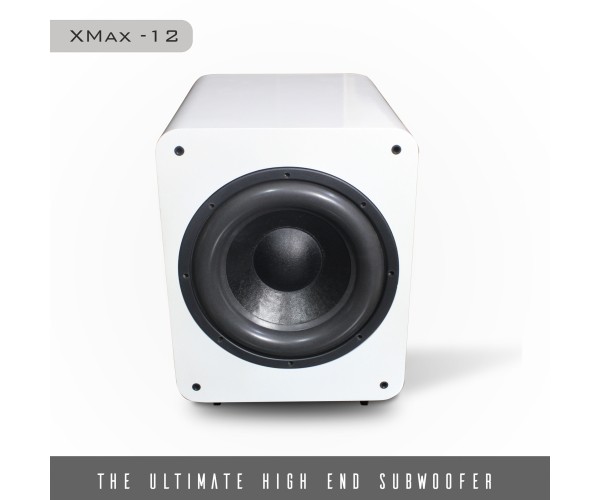 X-Max Ported Subwoofer X-Max Ported Subwoofer