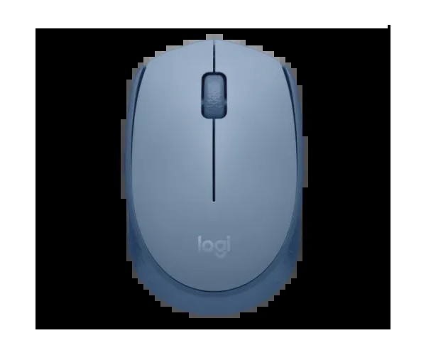 Logitech M171