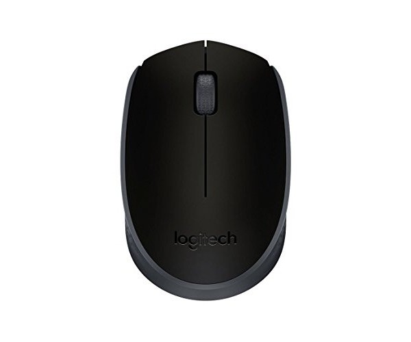 Logitech M171