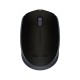 Logitech M171