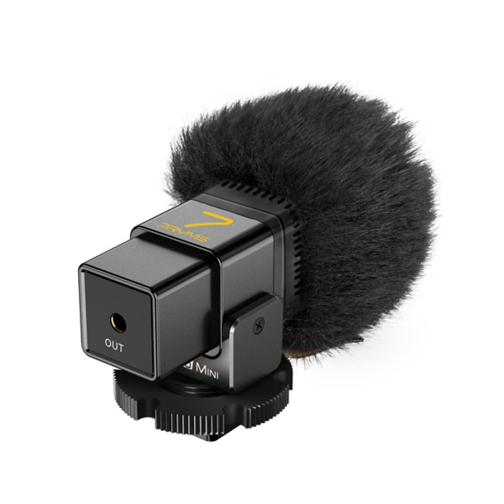 7ryms MinBo Mini