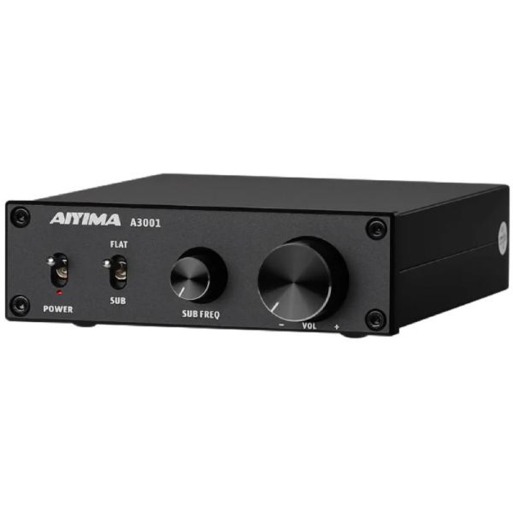 AIYIMA A3001 Class D Power Amplifier