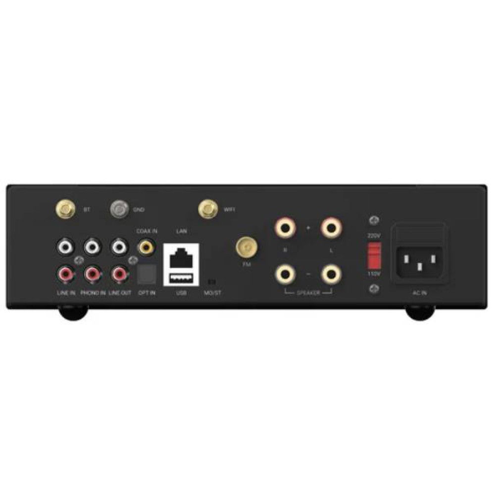 Arylic A100 Power amplifier with FM