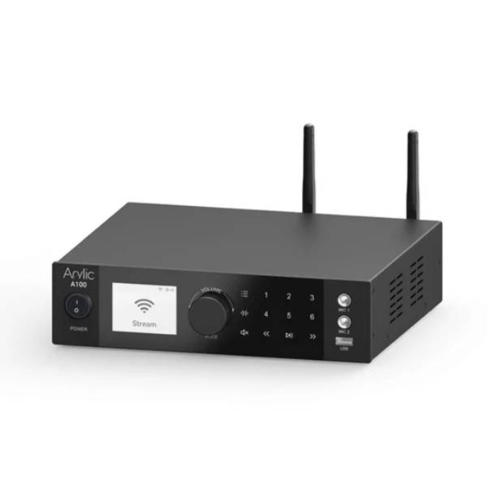 Arylic A100 Power amplifier with FM