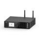 Arylic A100 Power amplifier with FM