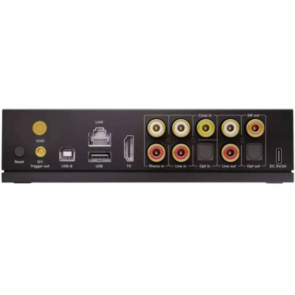 Arylic LP100 HiFi Music Streamer