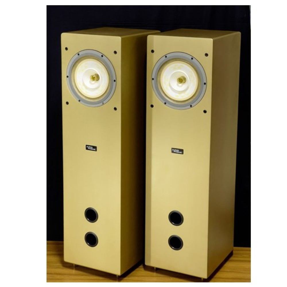 Audiophonic PHONIC-C8T Power Amplifier Full Range Tower Speaker