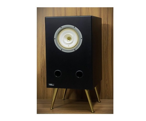 Audiophonic PHONIC-C8 Power Full Range Speaker