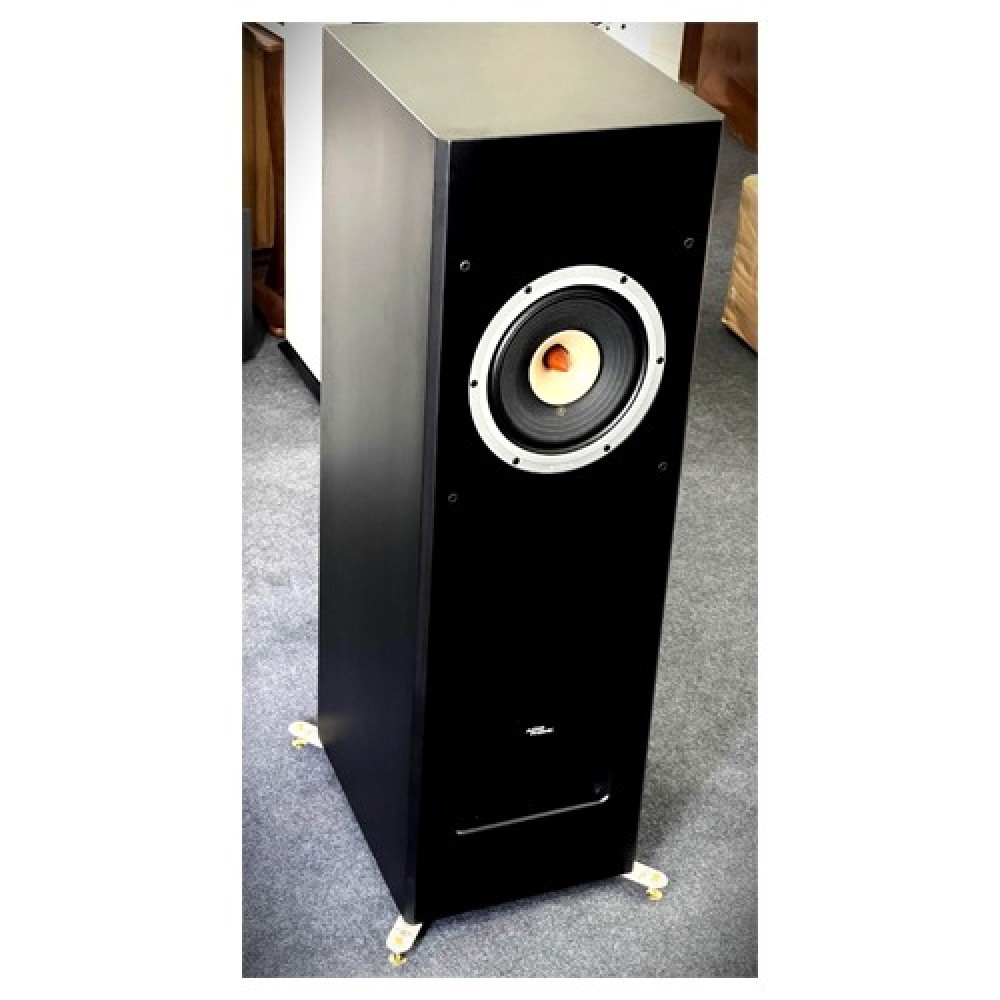 Audiophonic PHONIC-F10 Full Range Tower Speaker