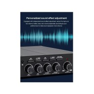 Audiophonic PAD-100 Power Amplifier