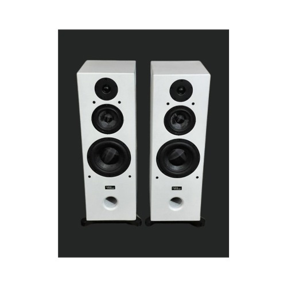 Audiophonic PHONIC-GT200 Floor Standing Speaker Audiophonic PHONIC-GT200 Floor Standing Speaker