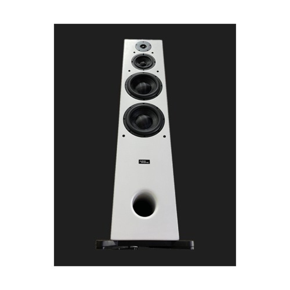 Audiophonic PHONIC-GT350 Floor Standing Speaker