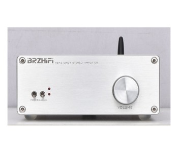 BRZHIFI PAM-312H24 Audio Power Amplifier