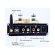 BRZHIFI PAP-L200 Valve Tube Bass HIFI Audio Amplifier