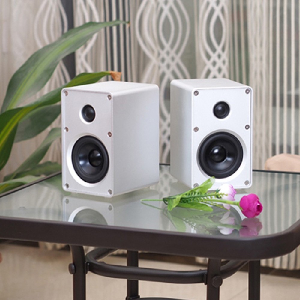 BRZHIFI SP-YS1-H Book-Shelf Speaker