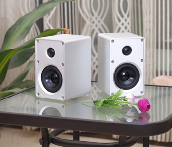 BRZHIFI SP-YS1-H Book-Shelf Speaker