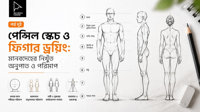 পেন্সিল স্কেচ ও ফিগার ড্রয়িং: মানবদেহের নিখুঁত অনুপাত ও পরিমাপ