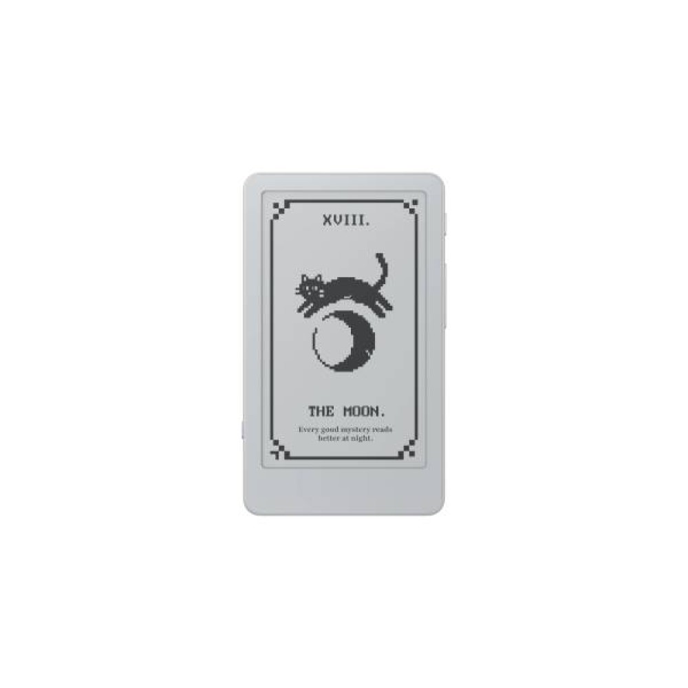 BOOX Picco eReader