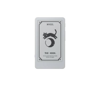 BOOX Picco eReader