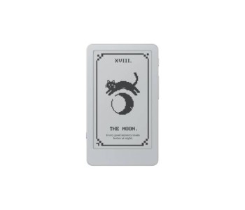 BOOX Picco eReader