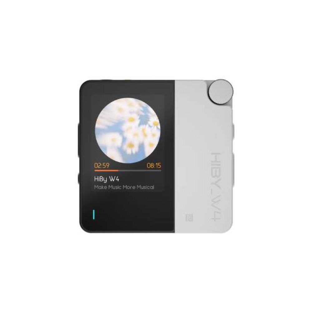 HiBy W4 BT Audio Receiver