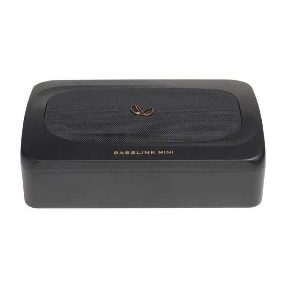 Infinity Basslink Mini Speaker