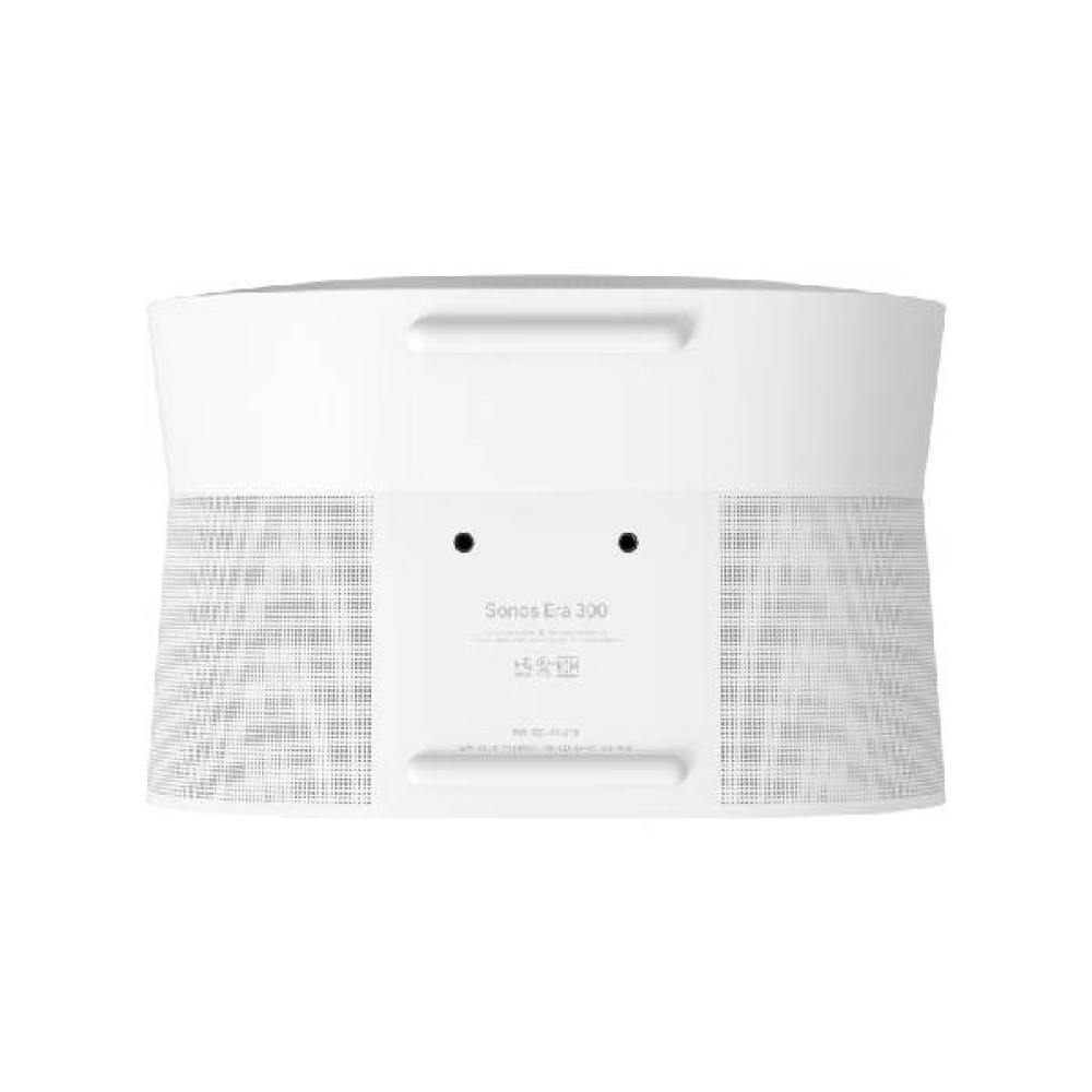 Sonos Era 300