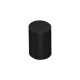 Sonos Era 100