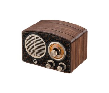 SWAN MT1 Mini Portable Speaker