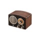 SWAN MT1 Mini Portable Speaker