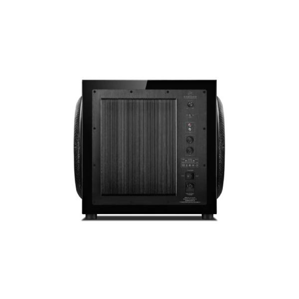  Swan SUB12S Subwoofer