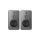 Swan H6 Active Speaker 