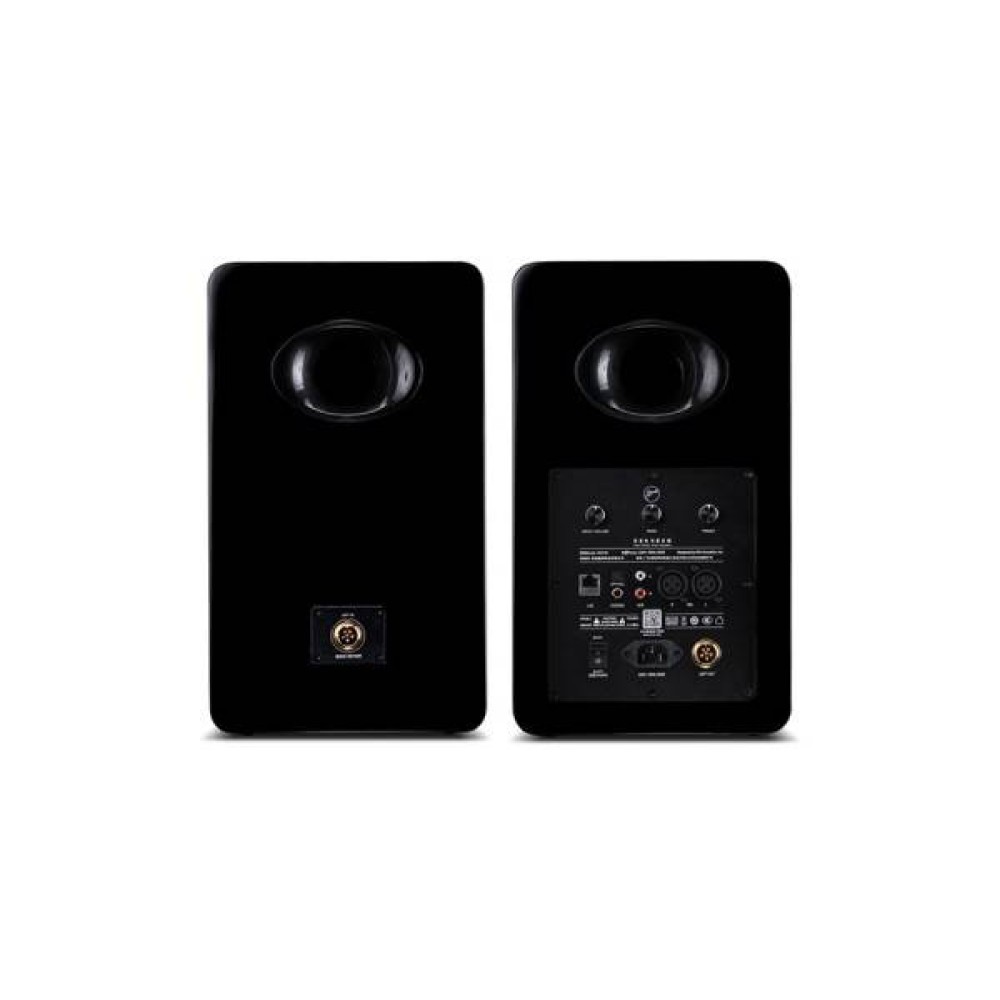 Swan H6 Active Speaker 