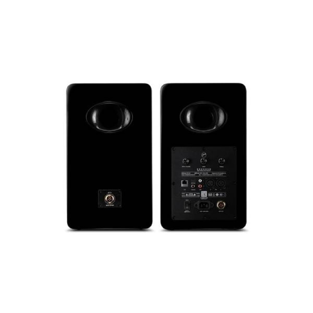 Swan H8 Active Speaker