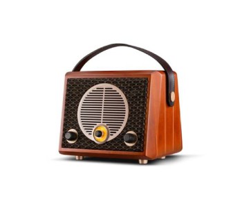 Swan M4R Portable Speaker