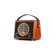 Swan M4R Portable Speaker