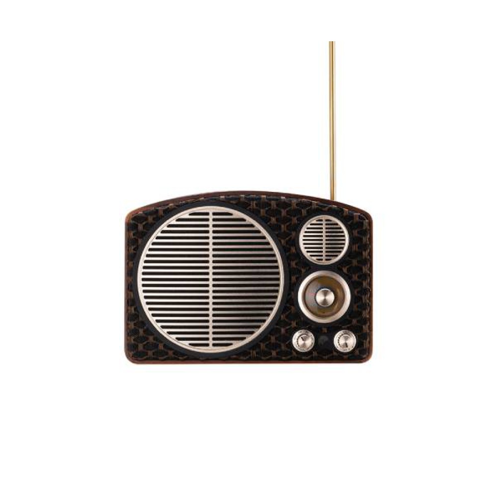 Swan MT1 MAX Portable Speaker