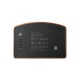 Swan MT1 MAX Portable Speaker