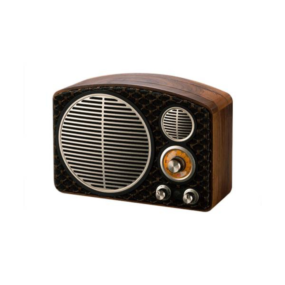 Swan MT1 MAX Portable Speaker