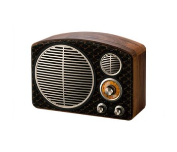 Swan MT1 MAX Portable Speaker
