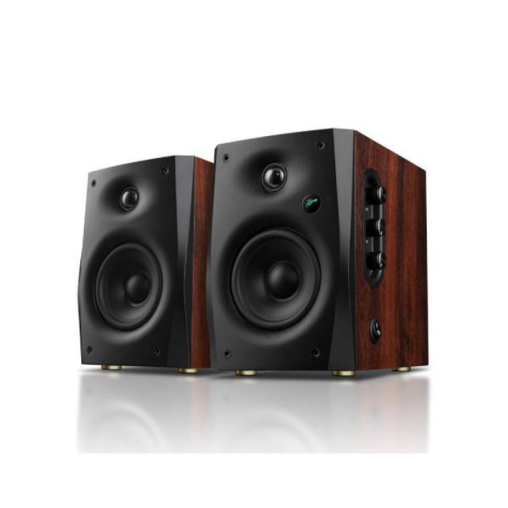 Swan active D1100 multimedia BT speaker